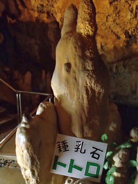 石垣島鍾乳洞のトトロ石