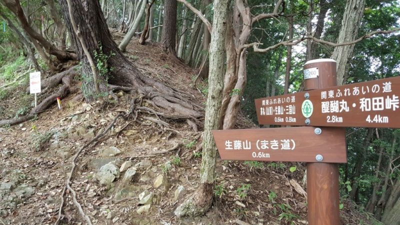生藤山のまき道
