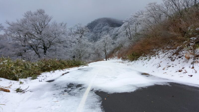 冠山峠の積雪