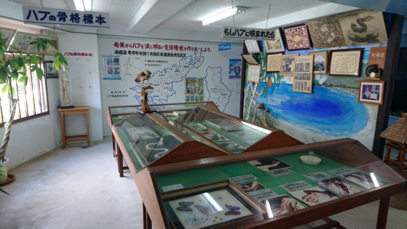 奄美観光ハブセンターの展示室