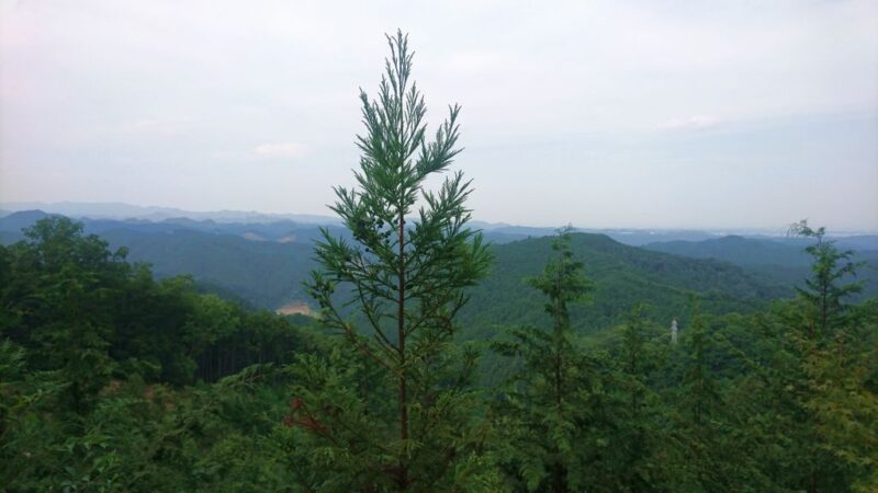 青梅丘陵ハイキングコース展望スポットからの眺め
