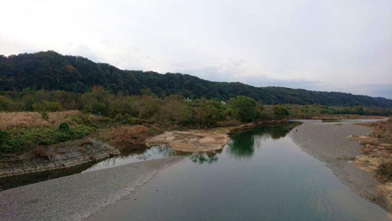 多摩川から見た滝山城