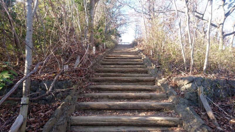 高尾山の稲荷山ルート最後の階段